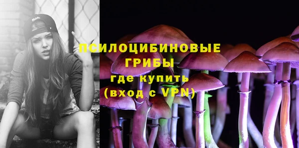 тгк Алзамай