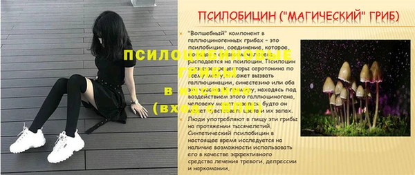 бошки Алексеевка